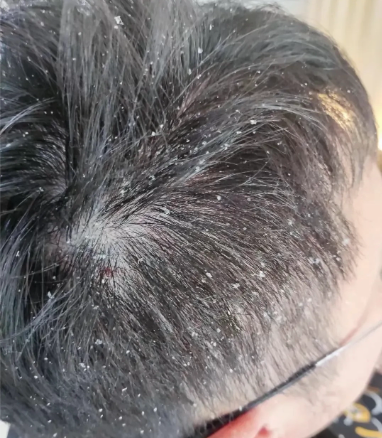 微信图片_2025-09-12_141602_725.png