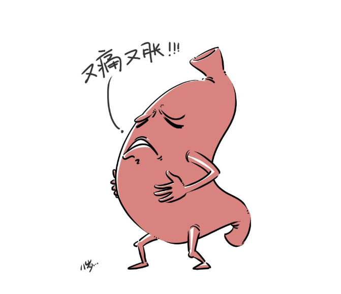 养胃知识误区,很多人都理解错了